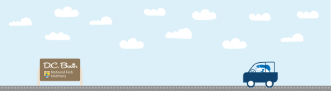 A graphic featuring a light blue sky with puffy clouds. At the bottom of the graphic, a fish drives a car along a road toward a sign that reads "Erwin National Fish Hatchery"