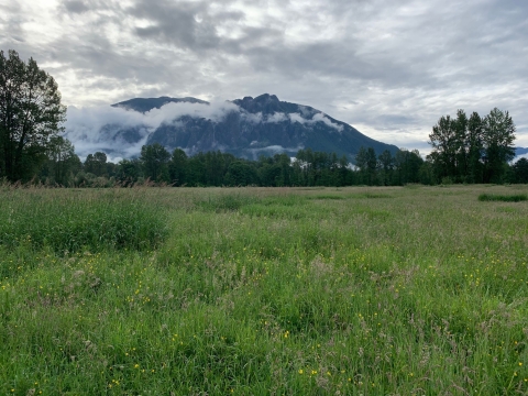 Picture of Mt. Si with clouds and prairie