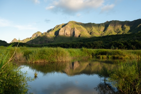A wetlands pond. There is a mountain behind the pond lit in the sun. The mountain is reflected in the water. 