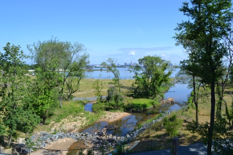 Masonville Cove wetland with Baltimore Skyline in background