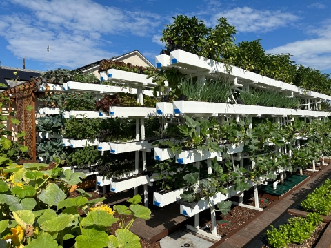 Vertical container garden structures with vegetables