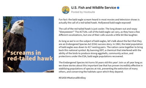 A graphic shows a social media post with a bald eagle and text below right