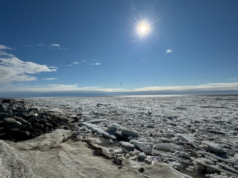 chunks of sea ice in Alaska