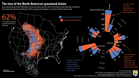 Once spanning more than 580 million acres, the Central Grasslands are the world’s most imperiled and least conserved ecosystem. Grasslands are being lost at a far faster pace than they are being conserved due to agricultural conversion, invasive species, and climate change.