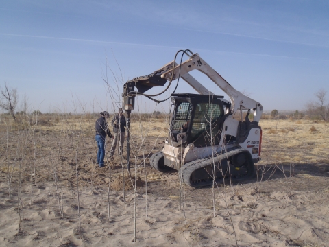 Two individuals standing amongst planted trees and a piece of construction equipment