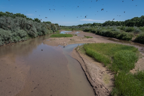 Water covering an area with vegetation 