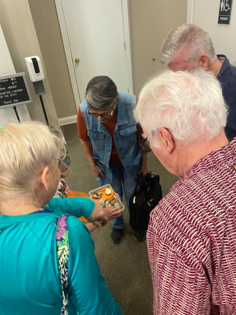 People looking at fossil specimens
