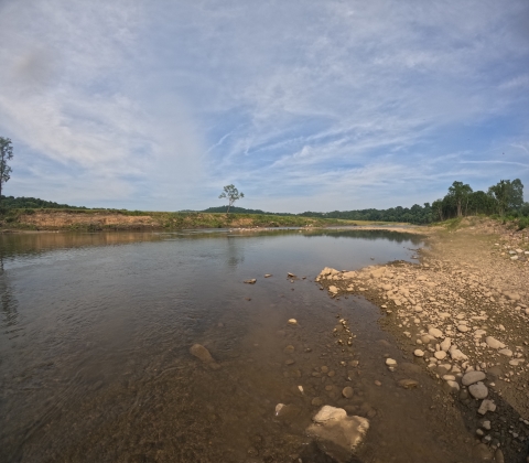 A view of the Nolichucky River showing bare banks, with one tree remaining. 
