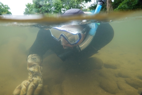 Snorkeling swimming along the bottom of a shallow river