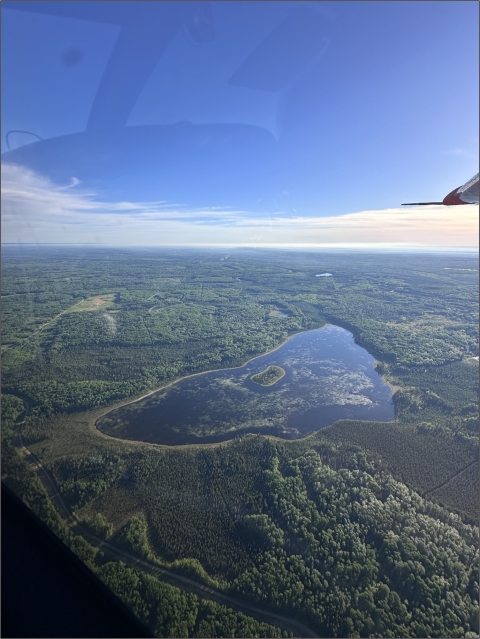 aerial view of forests and wetlands 