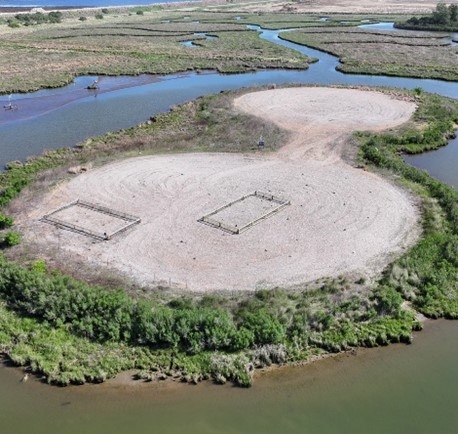 aerial view of two enclosures around tern nesting areas