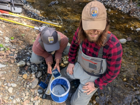 Two people wearing ball caps and field wear sit on a streambank with a bucket while identifying fish