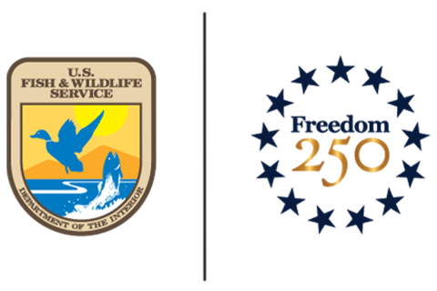 The U.S. Fish and Wildlife Service logo with a larger line in-between it and the Freedom 250 logo.. 