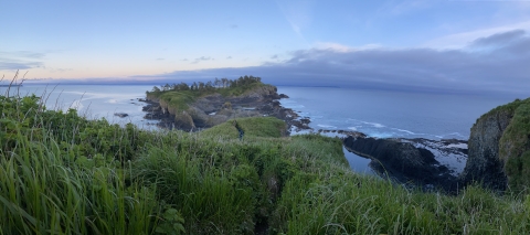 Trail on St. Lazaria island with ocean on both sides, tall grass and salmon berry, and trees in background.