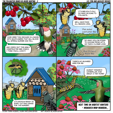 4 panel comic, A ruby-throated hummingbird shows blooming wildflowers and explains that flowers will be available throughout spring, summer, and fall. Two flat-tailed leafcutter bees and a blue orchard mason bee inspect the area. A thought bubble shows a leafcutter bee, referring to its use of cut leaves for nesting. A monarch caterpillar rests on a plant among pink flowers and says there is no milkweed available, which it needs as food.