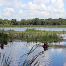Wetlands at Horicon National Wildlife Refuge in Wisconsin.