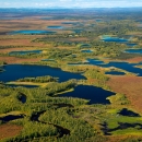 Kanuti Flats aerial view with spotted bodies of water.