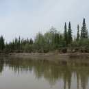 River with the river bank in the background with trees and brush. The riverbank, trees and brush are reflected in the water.