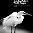 Front cover of Lower Suwannee and Cedar Keys CCP