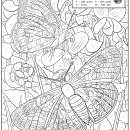 color by number of two California butterflies