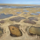 Wetlands of the Arctic Coastal Plain