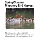 Regulations for the 2026 Alaska Subsistence Spring/Summer Migratory Bird Harvest