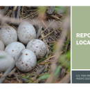 Repository Locator