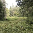 Bog work day