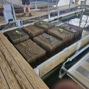 Cages atop one of the new Boat lifts for Norfork National Fish Hatchery Mussel Propagation.