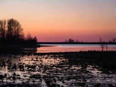 Sunset over a marsh