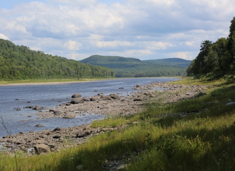 a landscape of a river and mountains