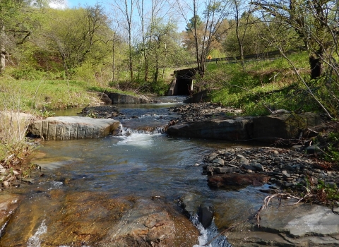 A small stream flows under a bridge in a wooded area.