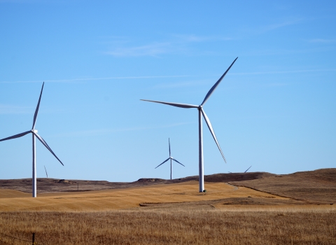 Wind turbines in a field
