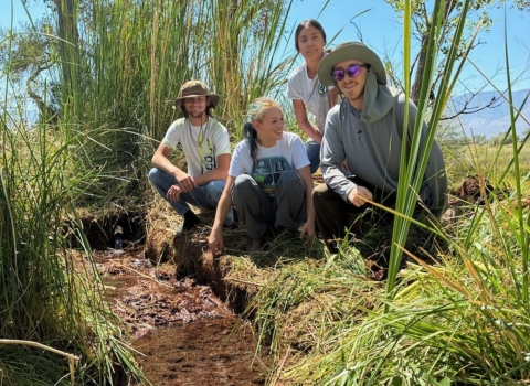 Youth Conservation Corps crew performing maintenance on a grassy field at Stillwater NWR
