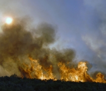 Shrub-steppe Wildfire