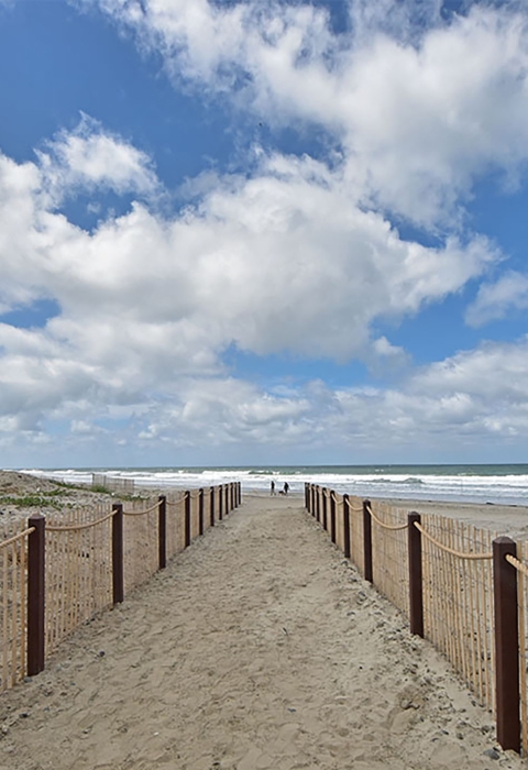 Two roped fences on either side of a beach path