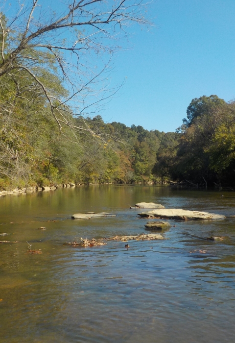 Cahaba River 