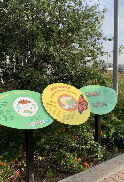 Monarch Waystation