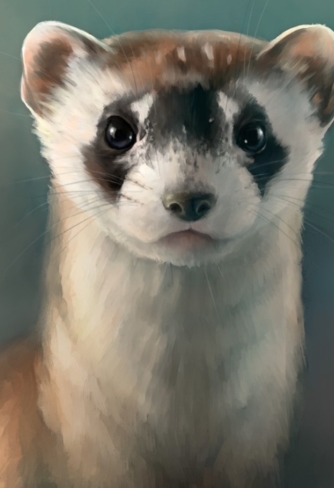 three painted portraits - California condor, black-footed ferret and a polar bear - are aligned in a row