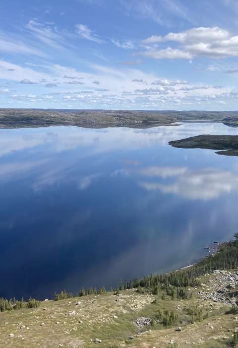 scenic landscape with forest and water with a light blue sky above