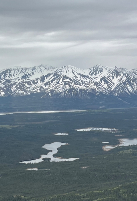 landscape with snow capped mountains in the distance