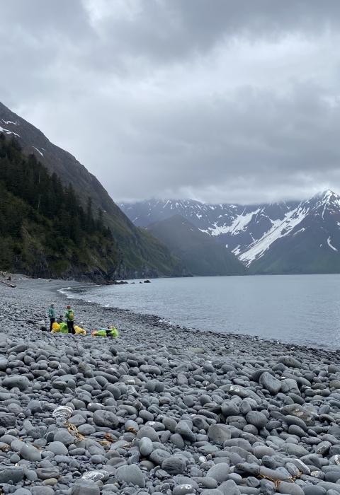 People stand on clean rocky beach with pile of trash bags full of debris they removed.