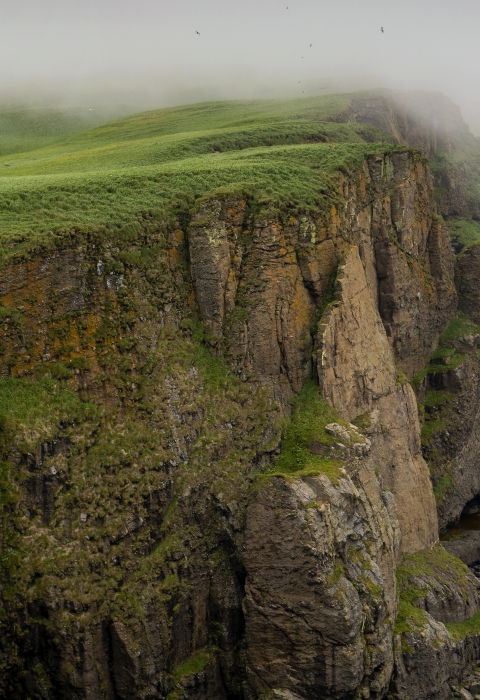 Panorama view of steep cliffs with green tundra