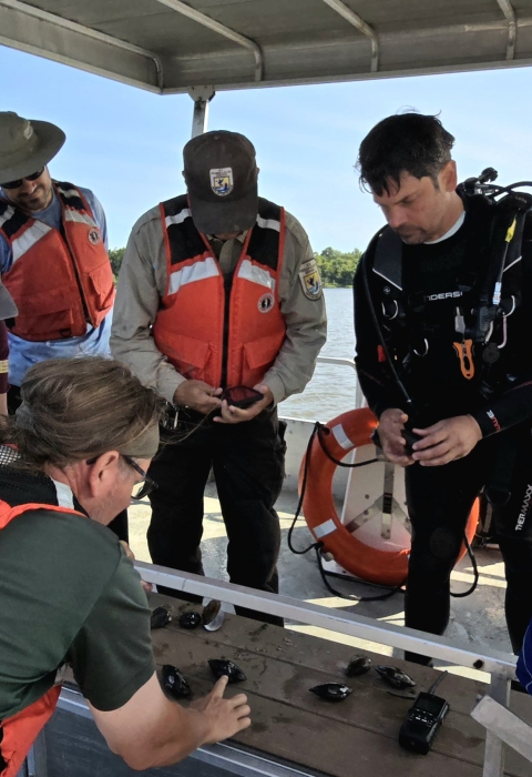A group of people in life vests and a diver lean in to look at several mussels on the deck of a boat.