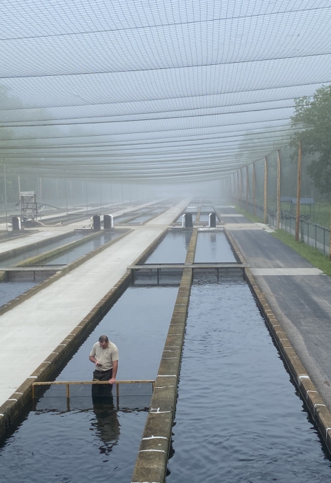 Foggy Morning at Norfork National Fish Hatchery