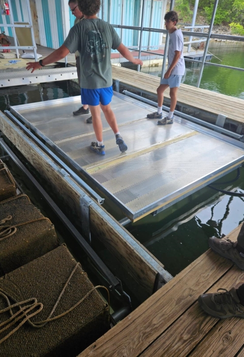 New Boat lift installed in Norfork Lake