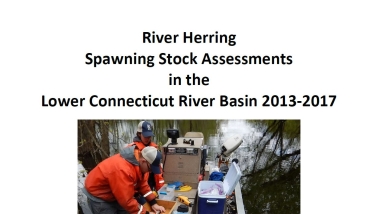 Connecticut River River Herring Report 2013-2017 cover page