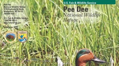 An image of the cover for the refuge brochure.