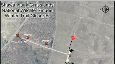 Portions of the trails at the Shawangunk Grasslands National Wildlife Refuge will close for the late fall and winter season beginning Friday November 15th and continue until approximately April 1st, 2025. The trail closures are in effect to limit disturbance to wildlife that overwinter on the refuge during the late fall and winter months. Thank you for your patience and understanding.