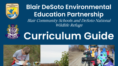 Curriculum Guide 